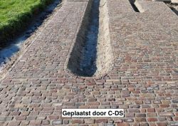 Prachtige Oude Waaltjes ongelijk!
