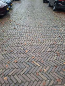 Oude waaltjes donker uit de binnenstad van Den Haag!