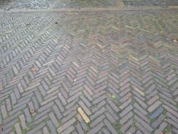 Oude waaltjes donker uit de binnenstad van Den Haag!