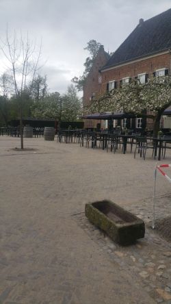 Oude dikformaat paars genuanceerd vindt u bij Klinkervantoen