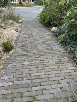 Oude Dikformaat Type Amsterdam rood/paars