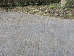 Oude Dikformaat Type Amsterdam rood/paars