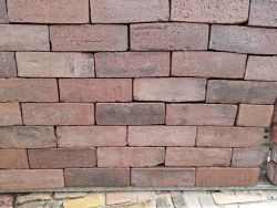 Old look Lingeformaat Paars genuanceerd op pallets 50 stuks per m2