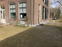 Oude waaltjes paars op pallet type Alkmaar